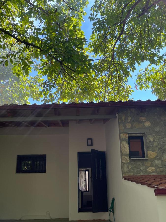 Karteri  Stymfalia Cozy Village Guesthouse מראה חיצוני תמונה